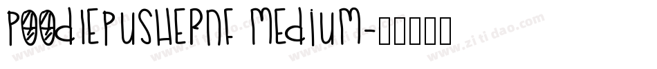 PoodlePusherNF Medium字体转换